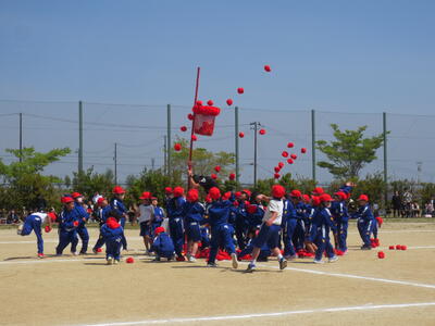 1･2年「紅白玉入れ」1