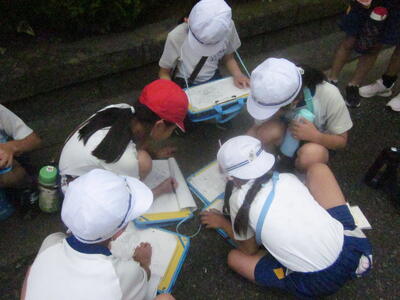 3年町たんけん3