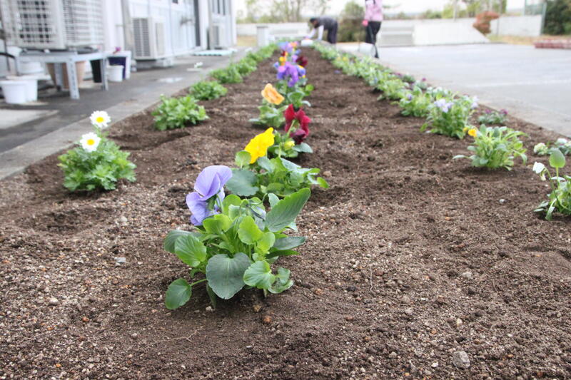 ★イーヨイーヨ！★