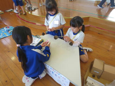 1年秋おもちゃ02