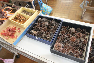 まだまだあるよ、木の実たち。