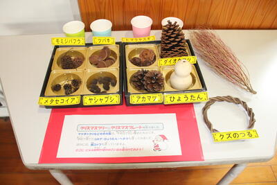 飾りに使った材料達です。