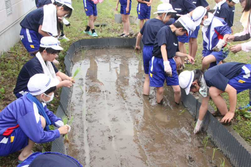5年田植え01