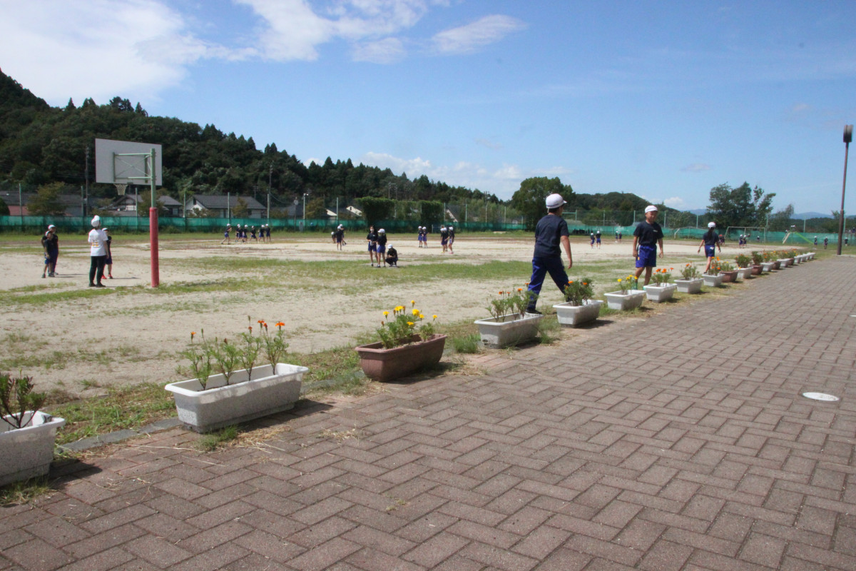 フラワーロード01