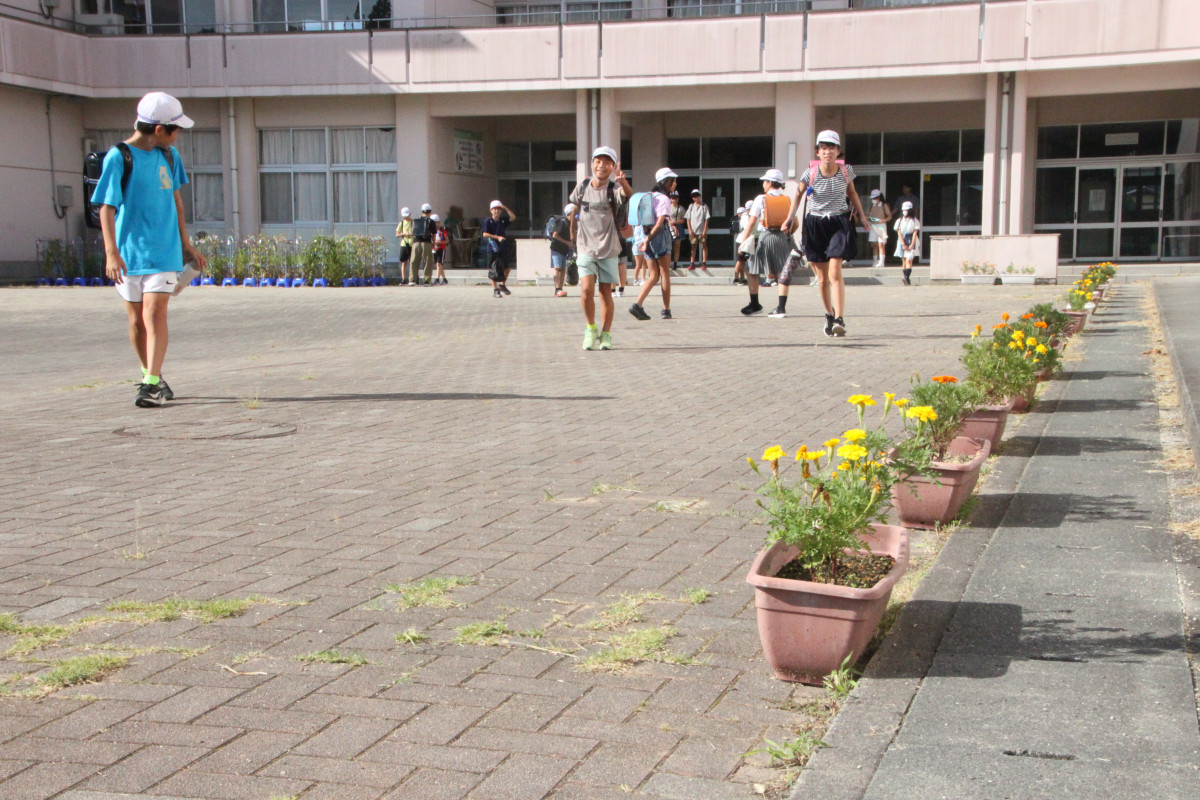 フラワーロード02