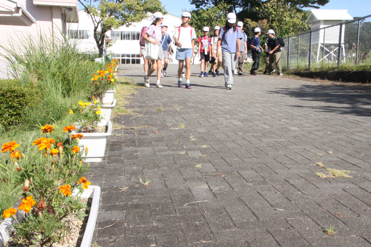 フラワーロード03