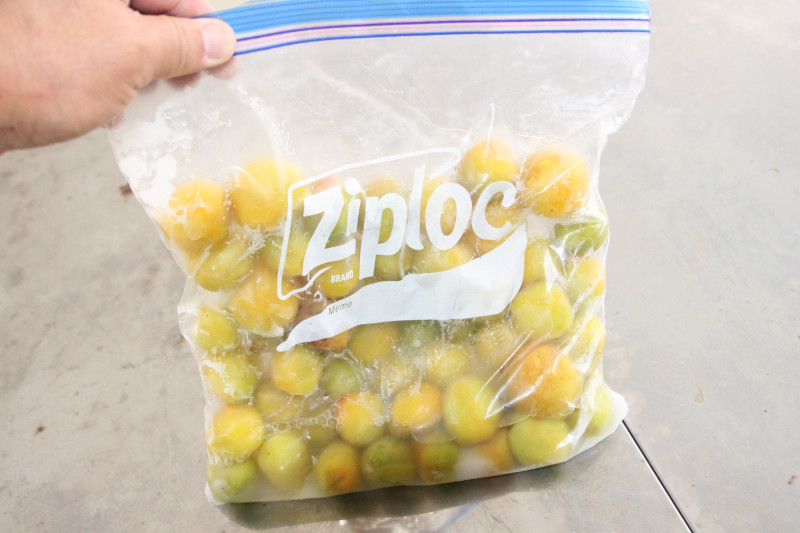 0620_梅酢上がる03