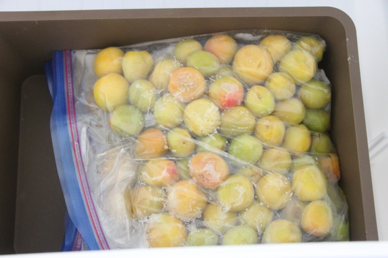 0620_梅酢上がる02