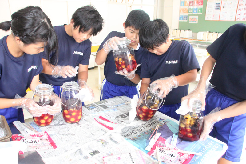 0710_赤紫蘇投入03