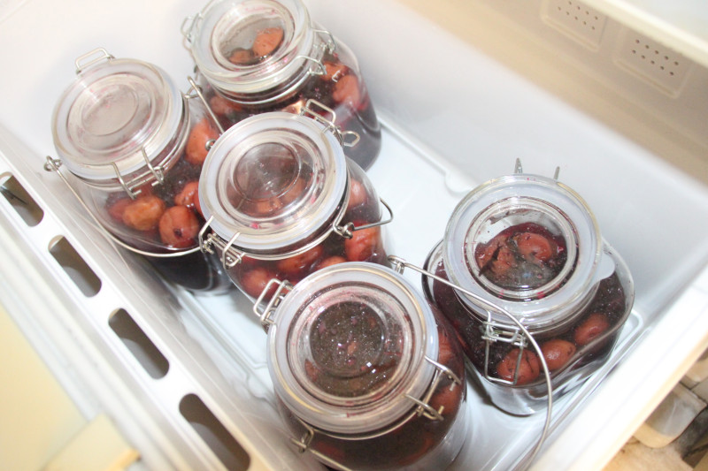 0901_冷蔵庫保管