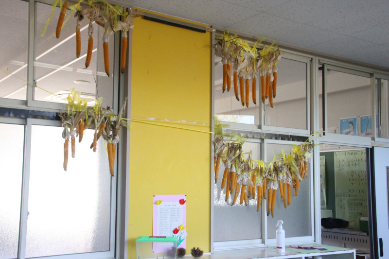 2年ポップコーン乾燥