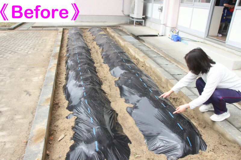 2年種植え00(済)（Before）