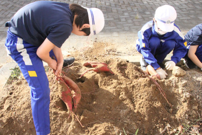 みなみ（芋掘り）04