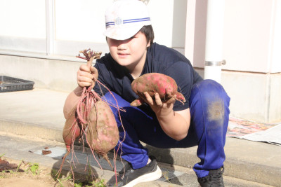 みなみ（芋掘り）10