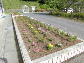 すてきな花壇が出来ました。