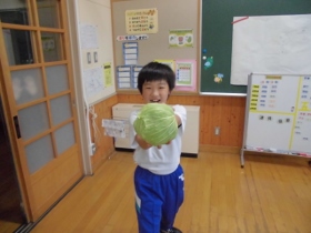 きゃべはめ波！