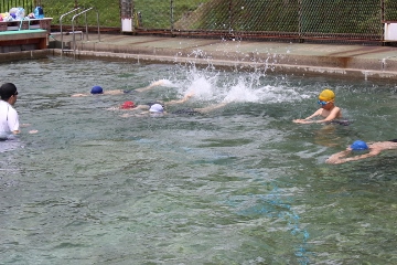 水泳の様子