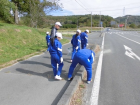 車に気をつけて探してます。