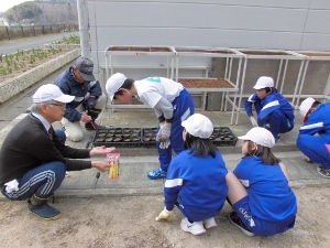 これは何の種かな？