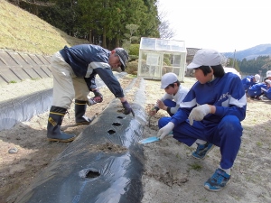 土寄せしてできあがり