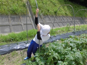 お手伝いの様子