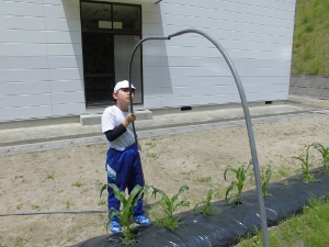 お手伝いの様子