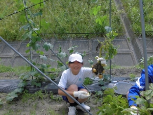 こっちはつながったままです。