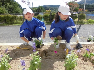 植え替えの様子