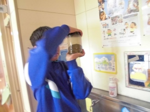 土を増やしてまたシャッフル