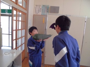 ボクのヘチマすごいでしょう