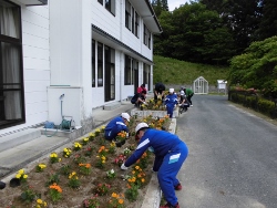 植え替え作業１