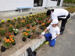 植え替え作業３