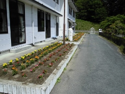 植え替え作業終了