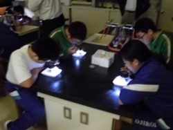 うまく見えたかな