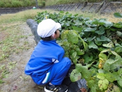 なかなかの大物だ