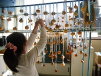 焼酎で防カビ対策