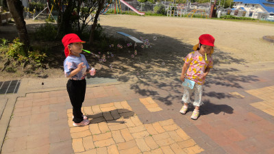 WIN_20250520_09_24_51_Pro