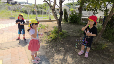 WIN_20250520_09_39_49_Pro