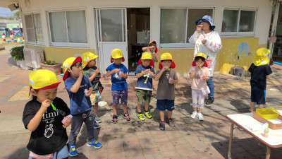 WIN_20250520_09_44_36_Pro