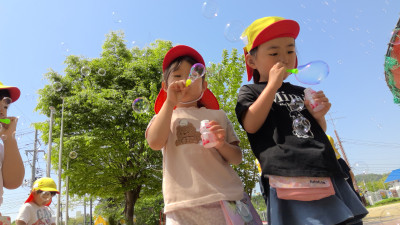 WIN_20250520_09_44_56_Pro