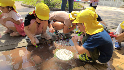 WIN_20250520_09_49_14_Pro