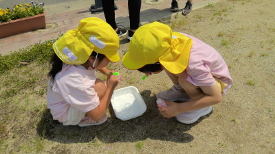 WIN_20250521_09_50_01_Pro