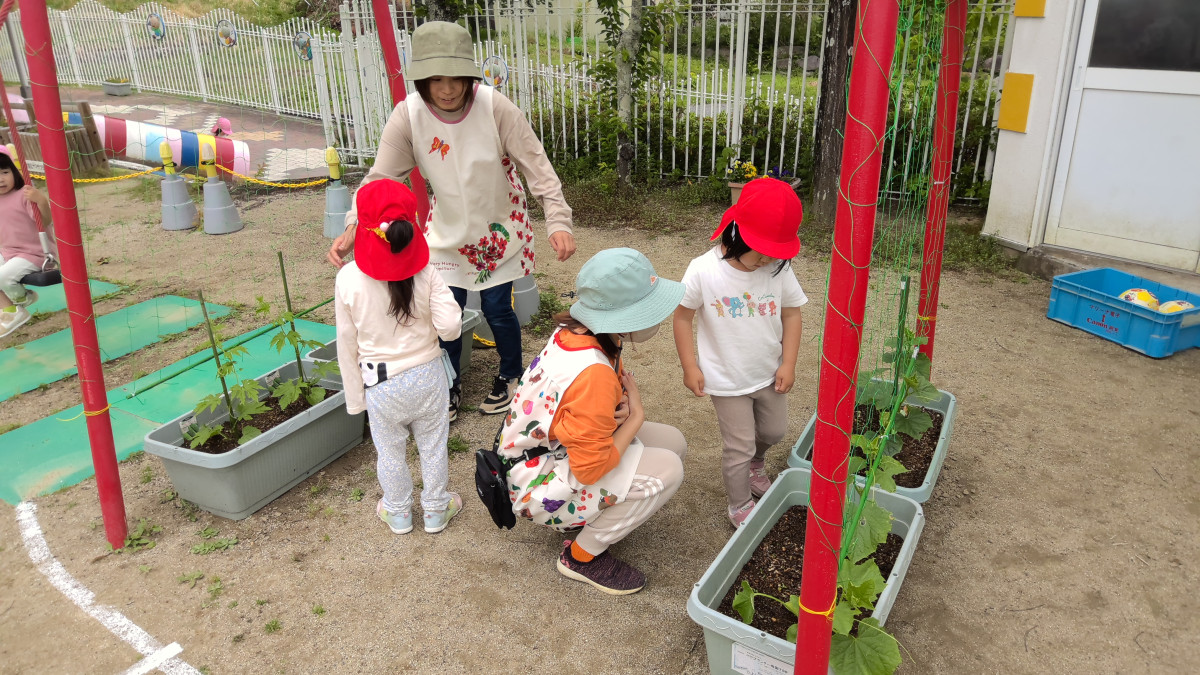 WIN_20250522_09_37_33_Pro