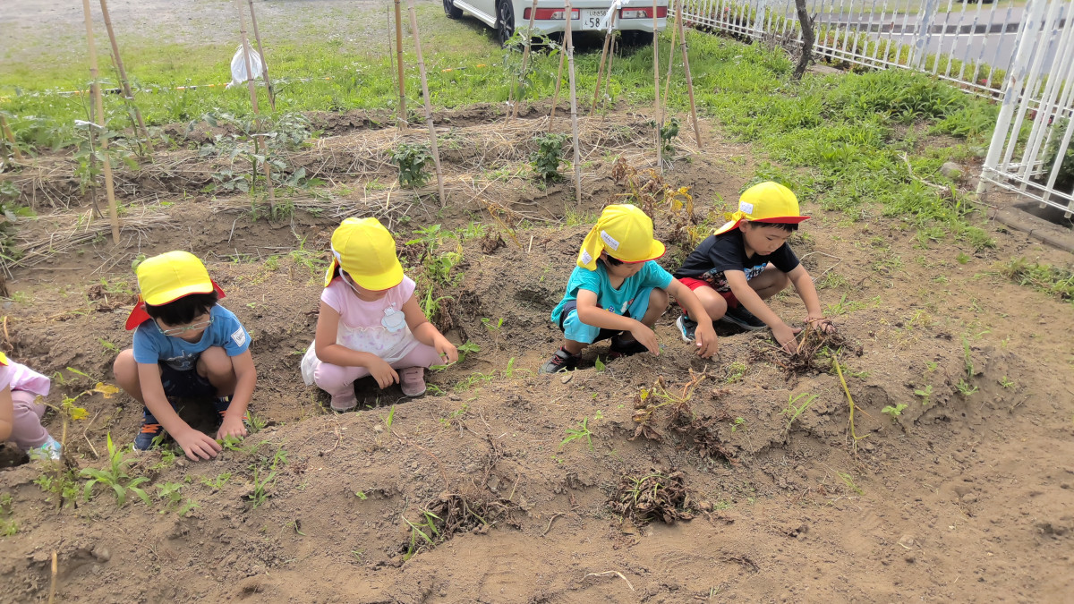 WIN_20250619_09_03_15_Pro