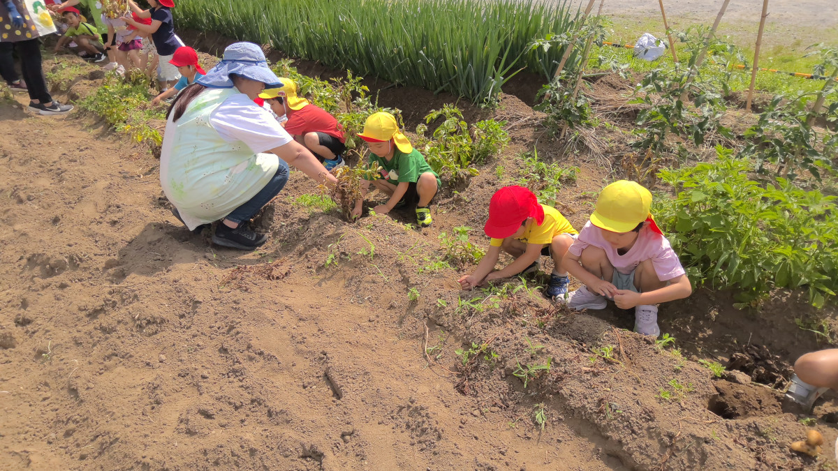 WIN_20250619_09_03_26_Pro