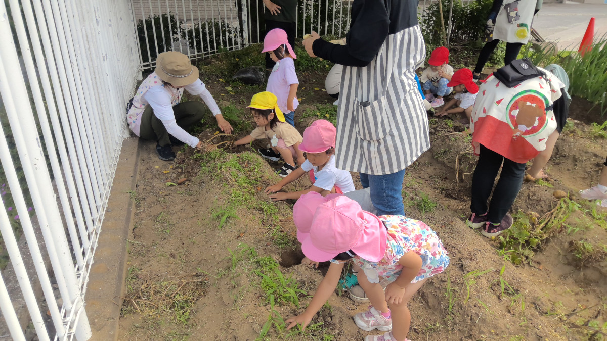 WIN_20250619_09_04_04_Pro