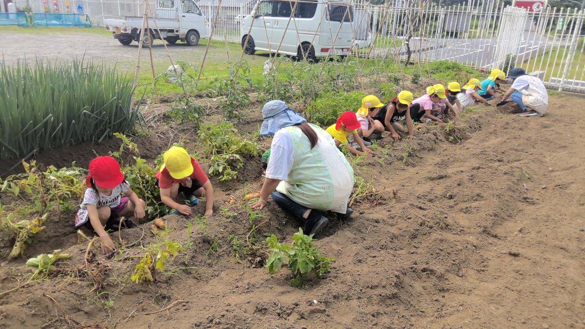 WIN_20250619_09_04_17_Pro