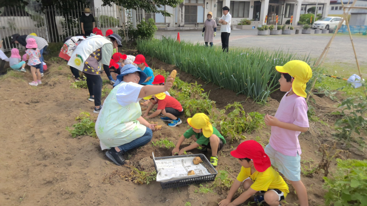 WIN_20250619_09_04_52_Pro