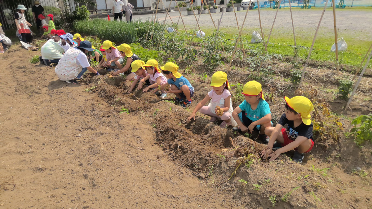 WIN_20250619_09_06_02_Pro