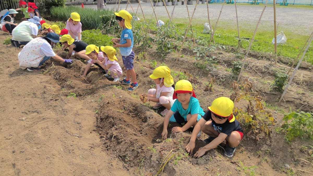 WIN_20250619_09_06_45_Pro